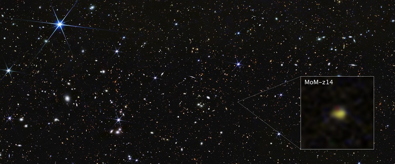 Webb observation of an early galaxy